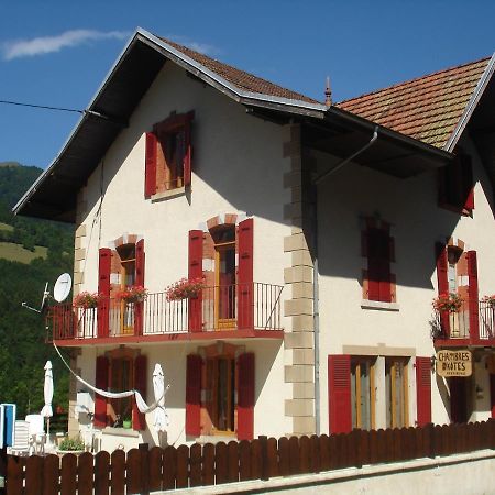 Bed and Breakfast L'Horizon Des Alpes Le Petit-Bornand-les-Glieres Exterior foto